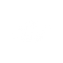 Park Tool logo