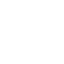 DT Swiss logo