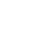 FOX logo