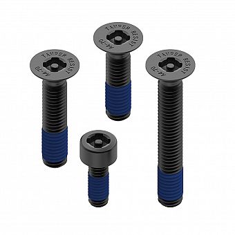 Quad Lock - Anti-Theft Screw Kit
