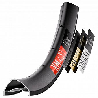 DT Swiss - XM 431 29