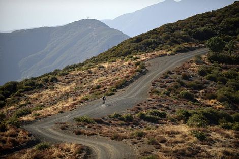 Gravel / CX