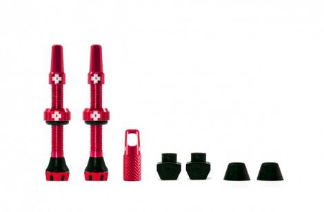 Tubeless Valves