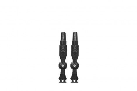 Tubeless Valves