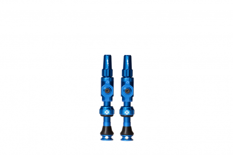 Tubeless Valves