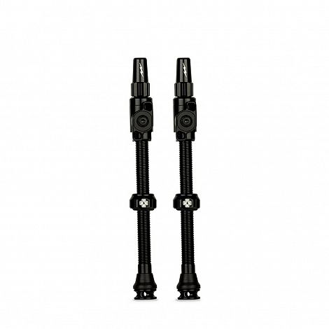 Tubeless Valves