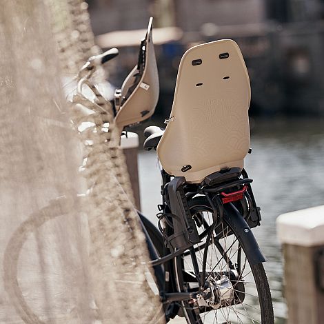 Carrier Mount