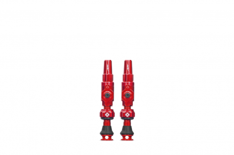 Tubeless Valves