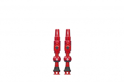 Tubeless Valves